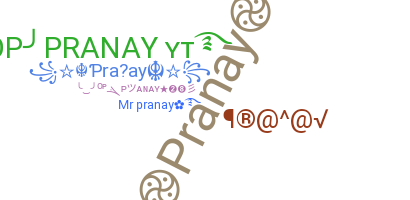 Takma ad - Pranay