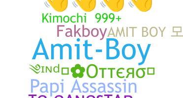 Takma ad - Amitboy