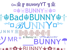 Takma ad - Bunny