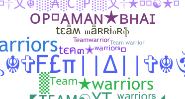 Takma ad - TeamWarriors