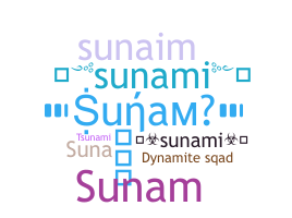 Takma ad - Sunami