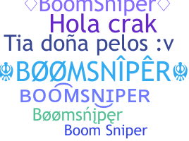 Takma ad - BoomSniper
