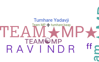 Takma ad - TeamMP