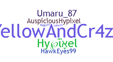 Takma ad - hypixel
