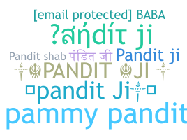 Takma ad - Panditji