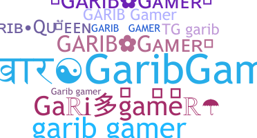 Takma ad - Garibgamer