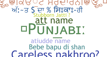 Takma ad - Punjabi