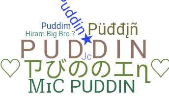 Takma ad - Puddin