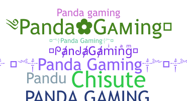 Takma ad - PandaGaming