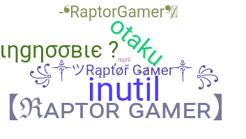 Takma ad - Raptorgamer
