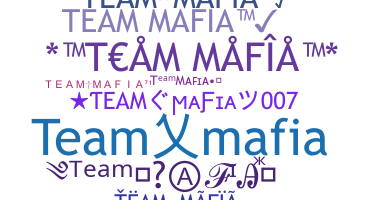 Takma ad - TeamMafia