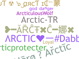 Takma ad - Arctic