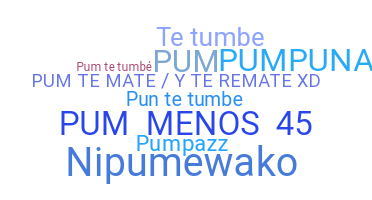 Takma ad - Pum