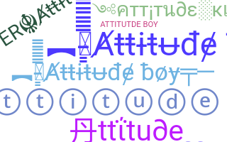 Takma ad - Attitudeboy