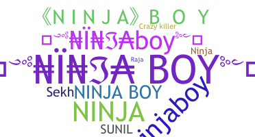 Takma ad - NinjaBoy