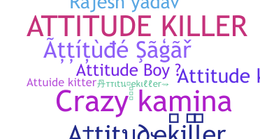 Takma ad - Attitudekiller