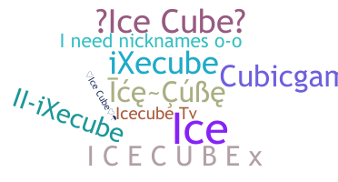 Takma ad - icecube