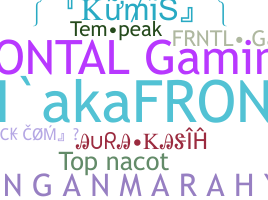 Takma ad - frontalgaming