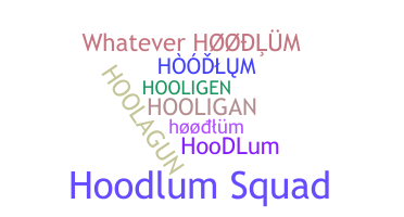 Takma ad - hoodlum